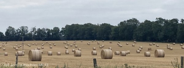 Showery Rain Sinks Southeast