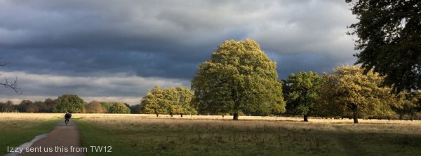 Brightening Up