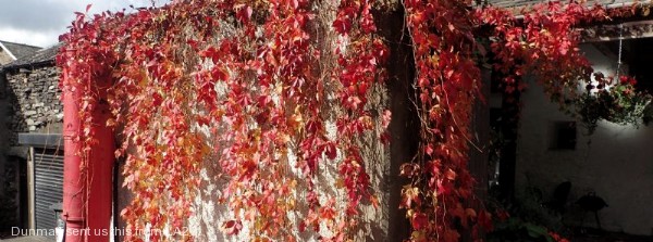 A More Autumnal Feel