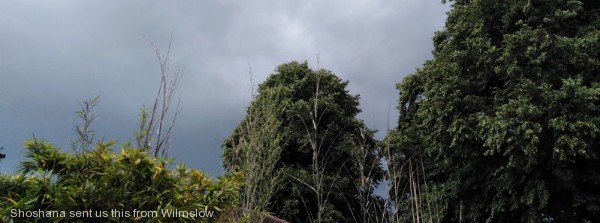 Cloud Spreads East